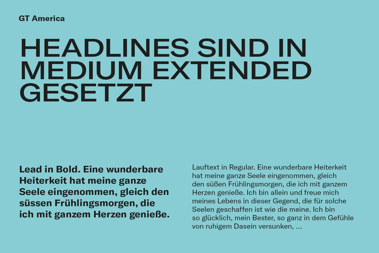 Typo Amstutz Holzbau Corporate Design HI Schweiz web