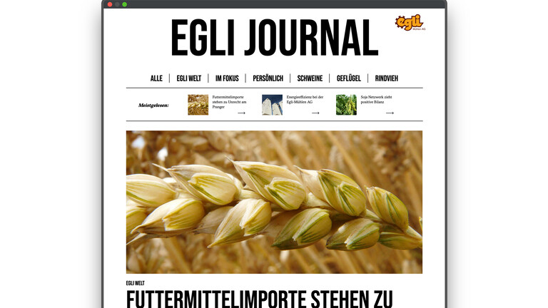 Egli journal Screen Long 1