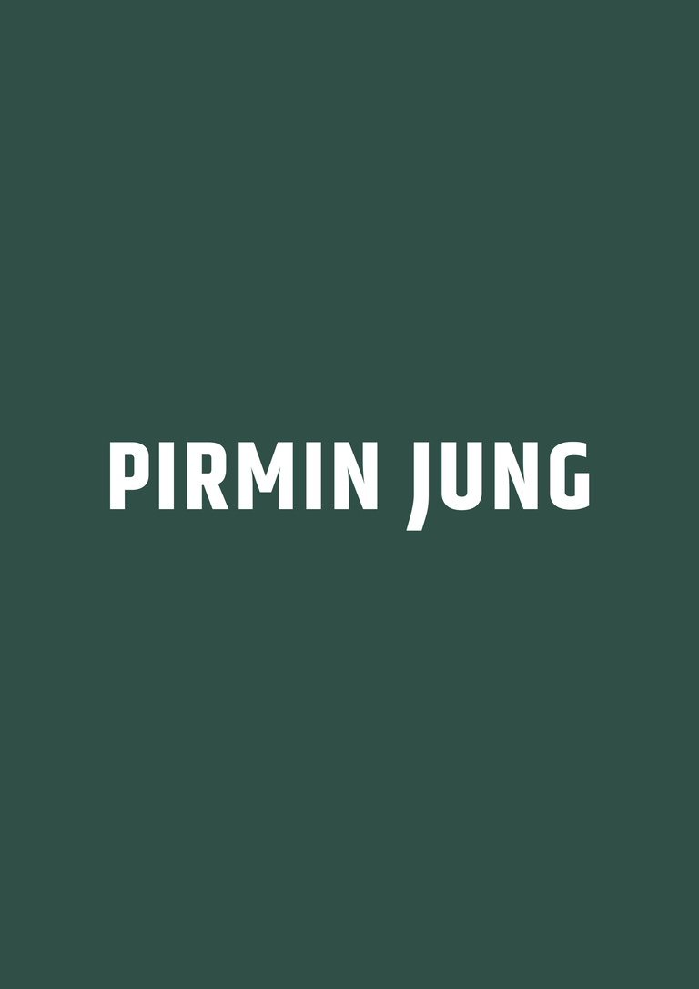 Pirmin Jung2