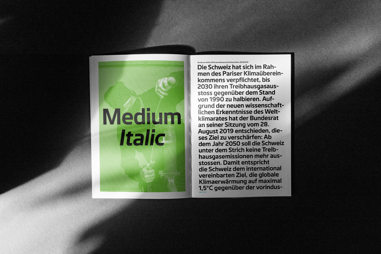 BURK Type Specimen Innenseiten 2