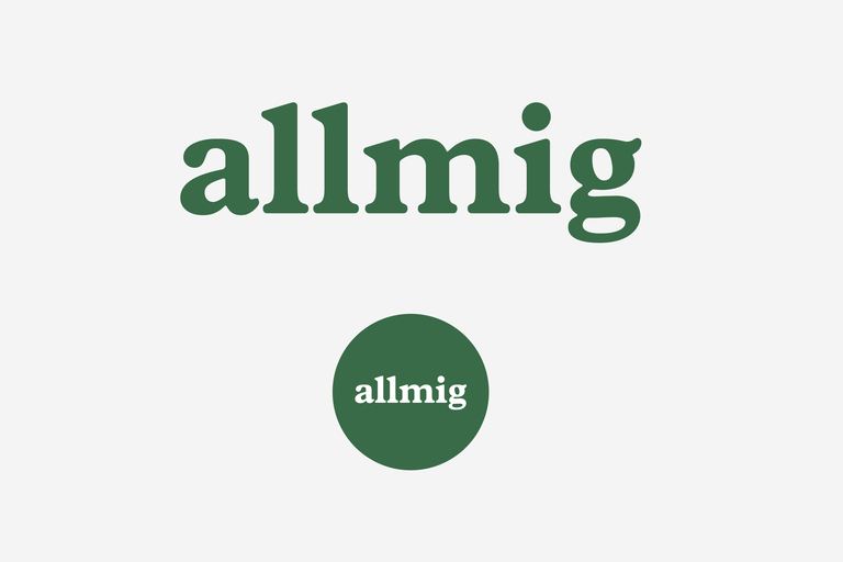 Allmig Brand 06