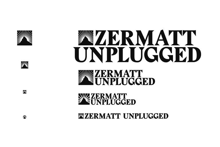 ZU2020 New Case Logo