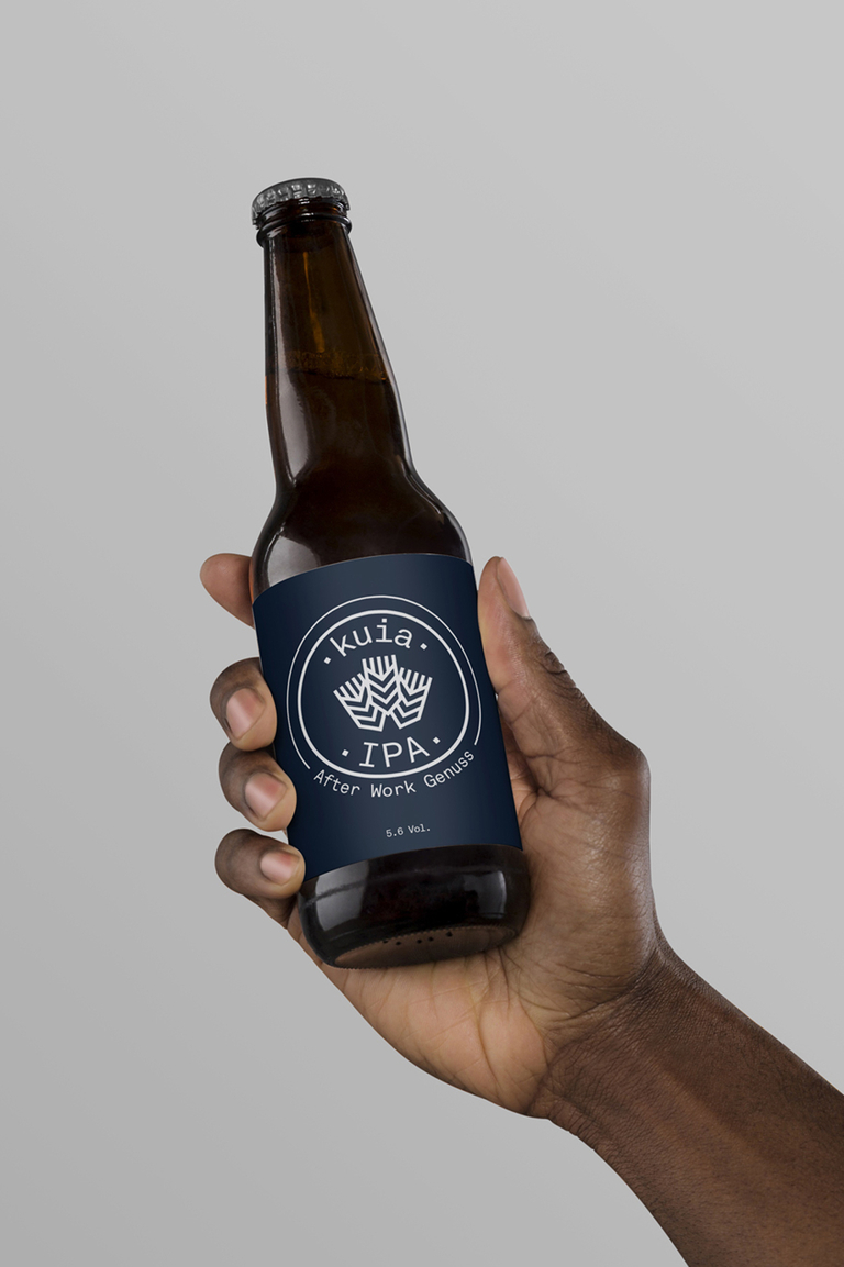 AM Entwurf IPA kuia web